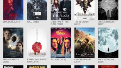 Filmyzilla Today movies download