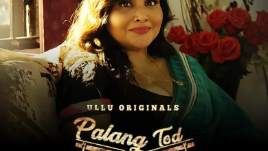watch Palang Tod Damaad Ji Part 2 Web Series online
